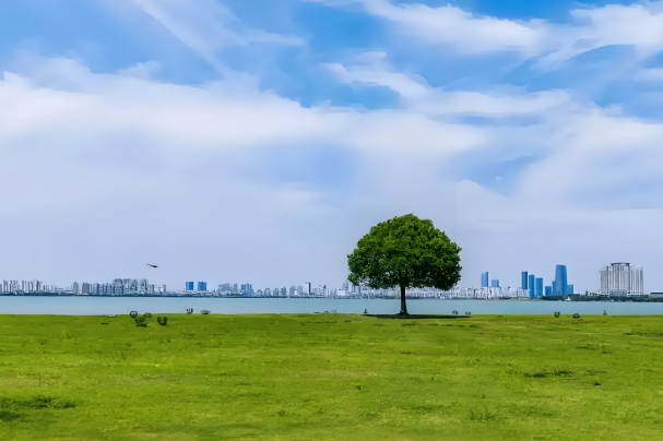 等离子体发射光谱仪